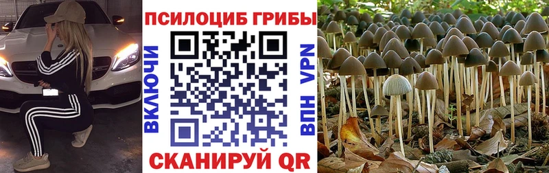 гидра ONION  Находка  Галлюциногенные грибы мухоморы  купить наркотики сайты 