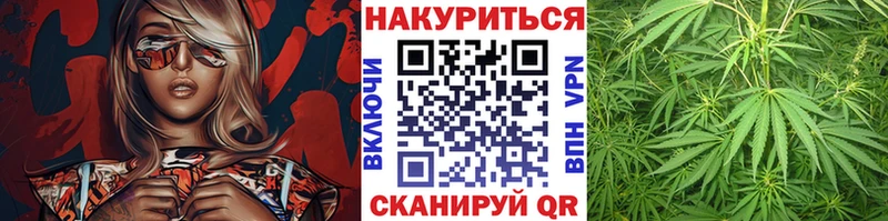 Конопля сатива Находка